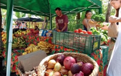 Guiones Farmers Market Guide, Blue Market Nosara