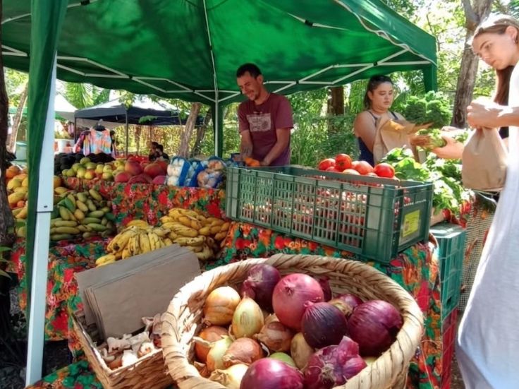 Guiones Farmers Market Guide, Blue Market Nosara