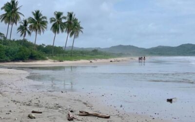 Walking Path to Playa Guiones, Beach Access Guide Nosara